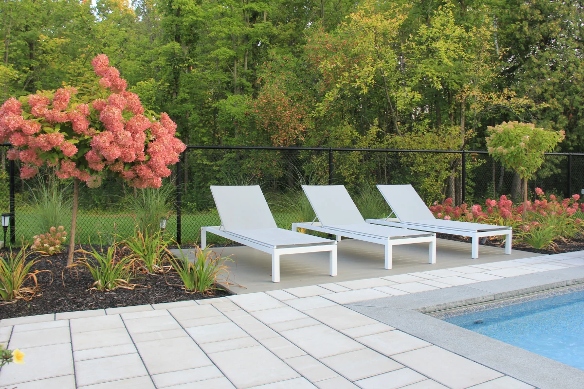 Hydrangea border and lounge terrace beside the pool — Astrolabe archive photograph IMG_6934