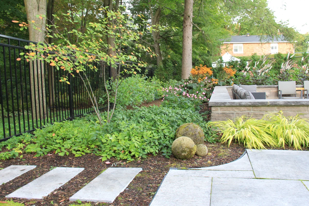 Chesswood stepping-stone garden, boulders and layered woodland planting