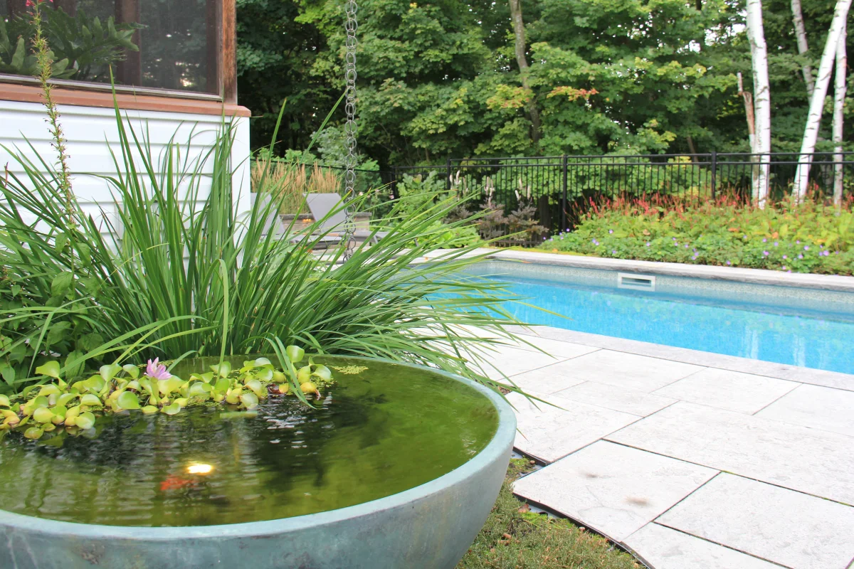 Sculptural planter, pool edge and surrounding woodland garden — Chesswood archive photograph IMG_7042