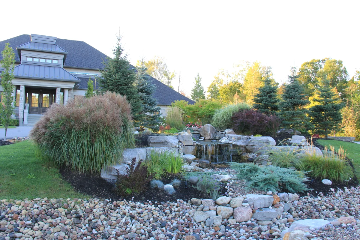 Layered ornamental grasses and boulder garden — Osmond Daly archive photograph IMG_7135