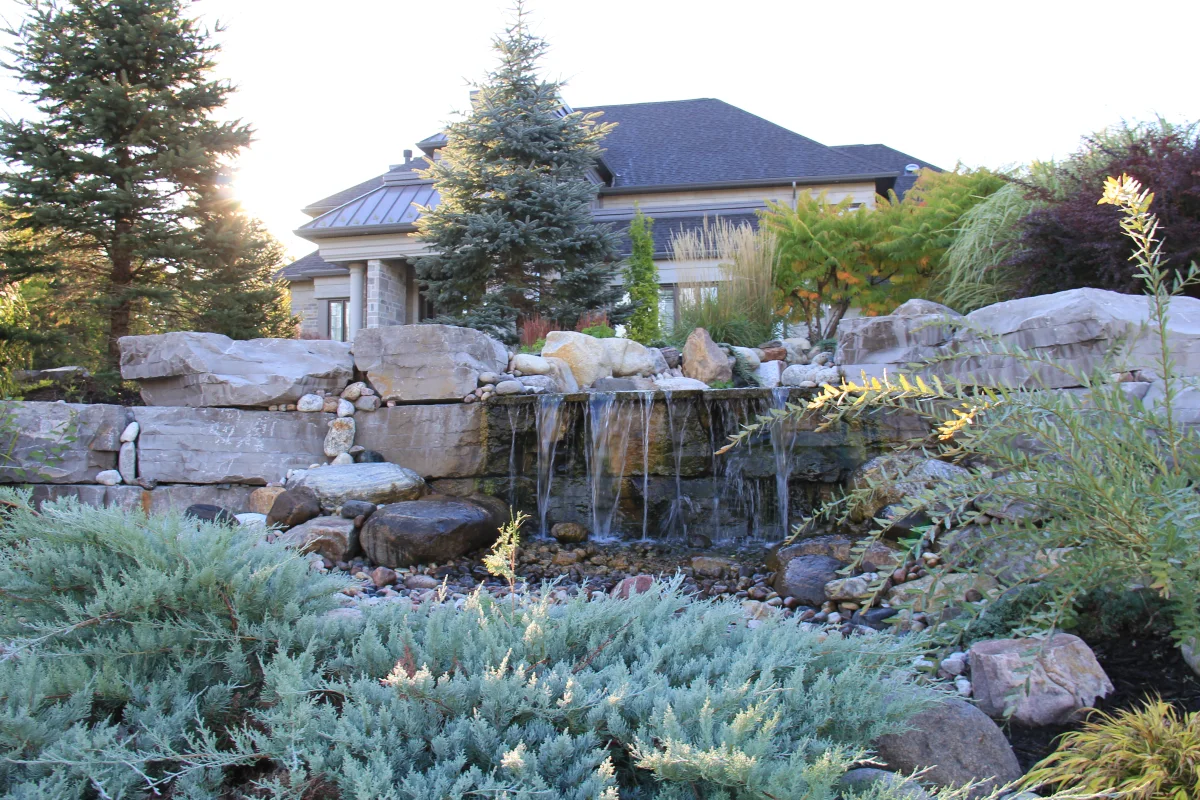 Natural boulder waterfall within a layered garden — Osmond Daly archive photograph IMG_7149