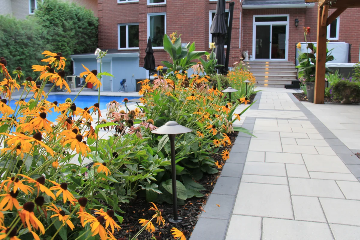 Black-eyed Susans, grasses and path lighting in the garden — Rivercrest archive photograph IMG_6974