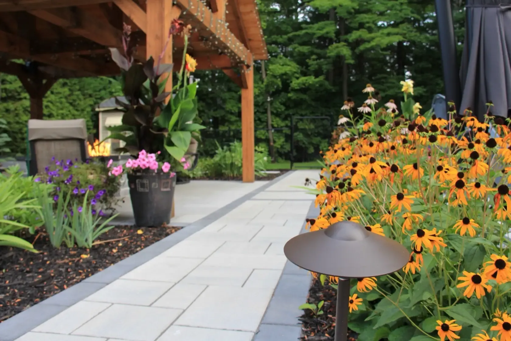 Path light among perennials at dusk