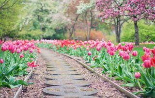 Garden pathway delicately designed with florals and stone