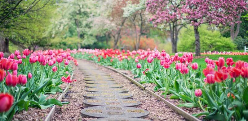 Garden pathway delicately designed with florals and stone