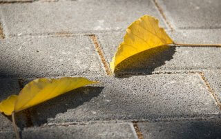 Close up shot of two yellow leaves sitting atop permeable concrete pavers