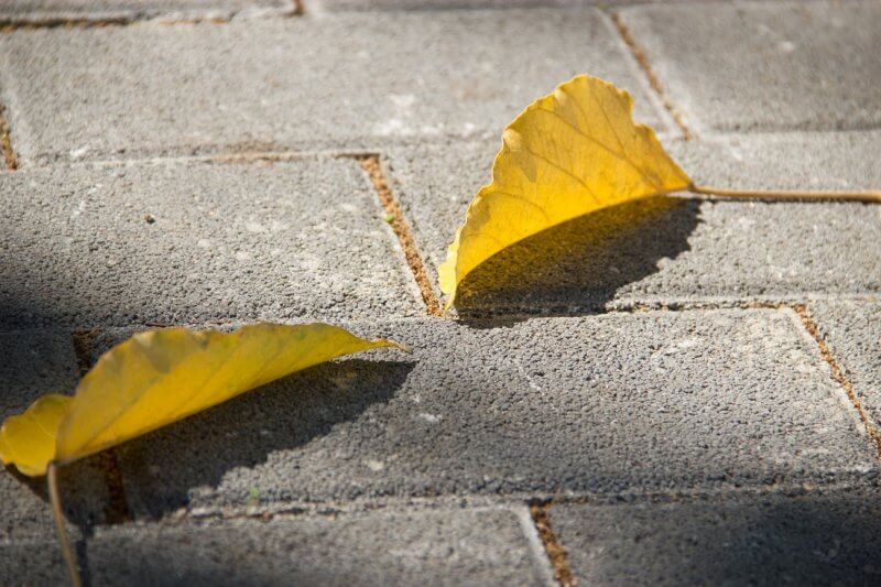 Close up shot of two yellow leaves sitting atop permeable concrete pavers