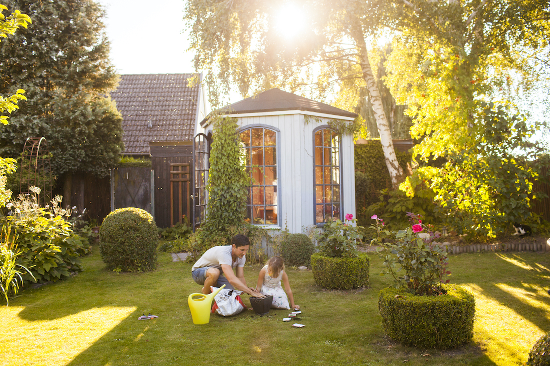 Father with daughter gardening in backyard