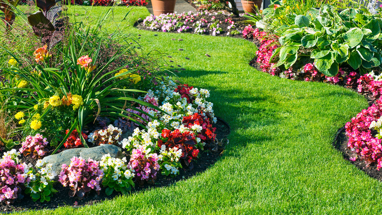 Landscape with colourful flowers and green grass