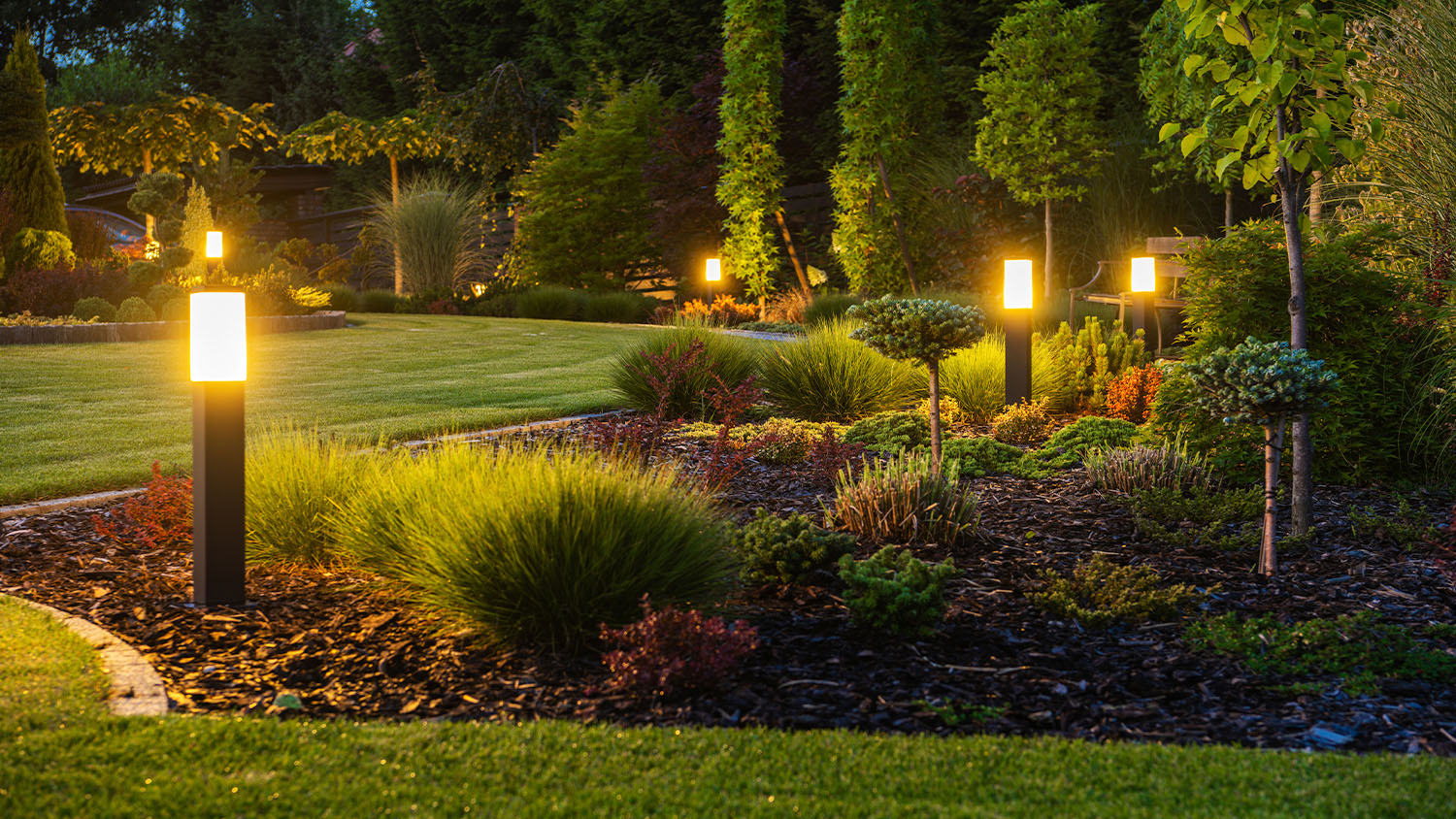 a landscaped area with lighting to brighten up the area